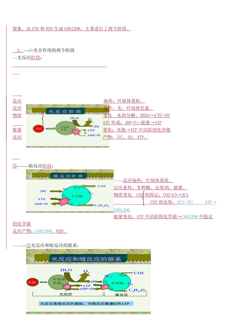 2019-2020年高中生物 第四节能量之源 光合作用01教案 新人教版必修1.doc_第3页