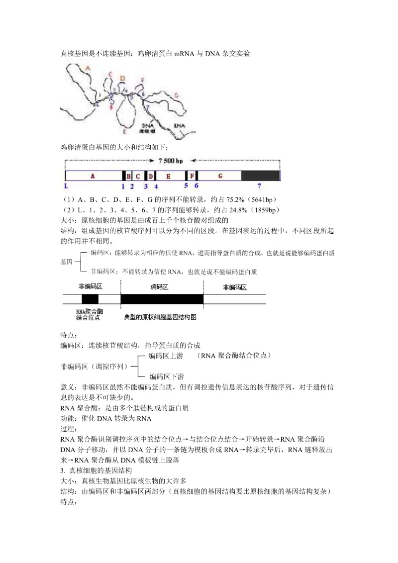 2019-2020年高中生物《认识基因》教案2 中图版必修2.doc_第2页