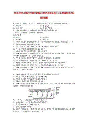 2019-2020年高三生物二輪復習 特色專項訓練（一）細胞的分子組成和結構.doc