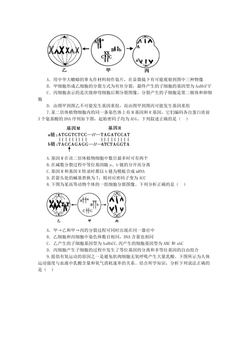 2019-2020年高三生物总复习 寒假作业8.doc_第2页