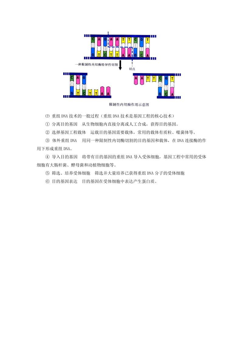 2019-2020年高中生物《基因突变和基因重组》教案10 新人教版必修2.doc_第2页