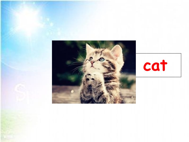 2019秋三年级英语上册 Lesson 1 I am a cat课件4 科普版.ppt_第3页