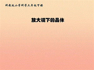 六年級科學(xué)下冊 第一單元 微小世界 3《放大鏡下的晶體》課件1 教科版.ppt