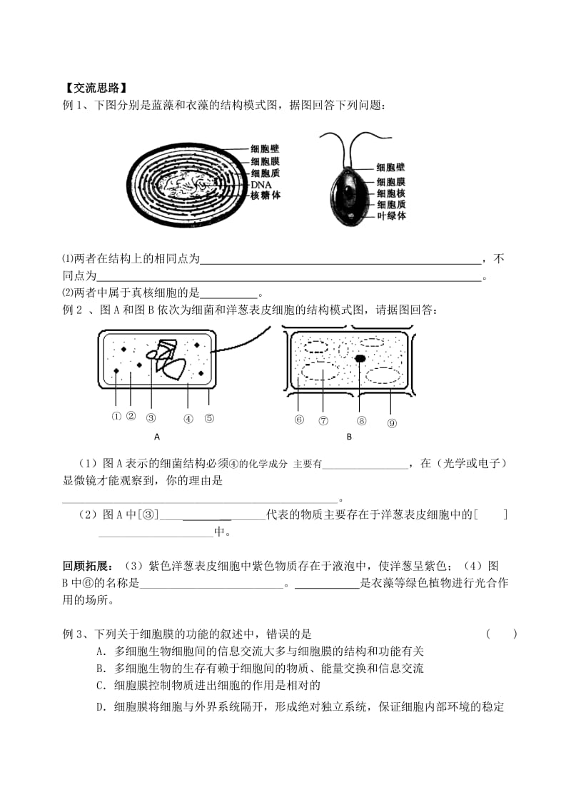 2019-2020年高中生物 第2节 细胞的类型和结构学案1 苏教版必修1.doc_第3页