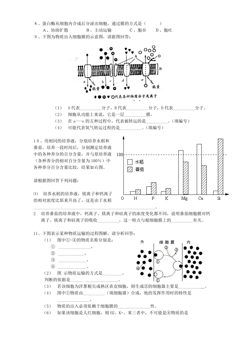 2019-2020年高一生物物质跨膜运输的方式 新课标 人教版必修(I).doc_第3页