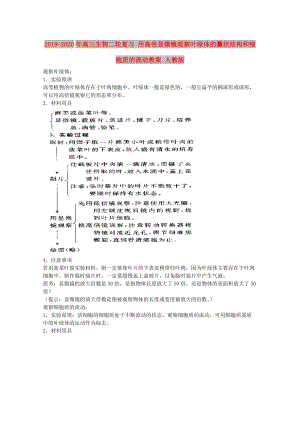 2019-2020年高三生物二輪復(fù)習(xí) 用高倍顯微鏡觀察葉綠體的囊狀結(jié)構(gòu)和細(xì)胞質(zhì)的流動教案 人教版.doc