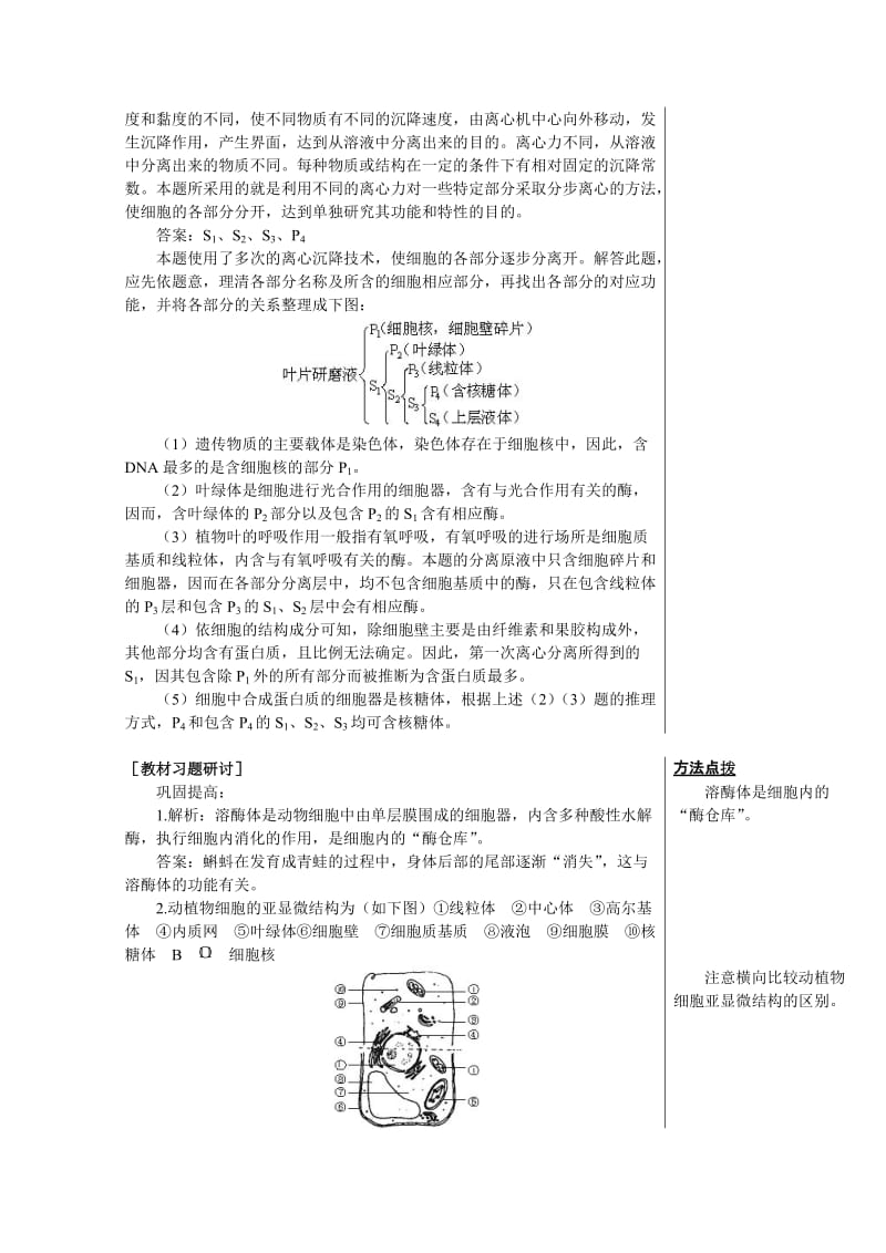 2019-2020年高中生物《细胞的基本结构》教案2 中图版必修1.doc_第2页