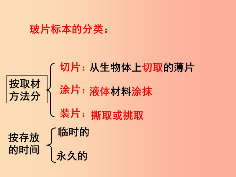 山东省威海市文登区实验鲁中学六年级生物上册 2.1.2 观察植物细胞（第1课时）课件 鲁科版五四制.ppt_第3页