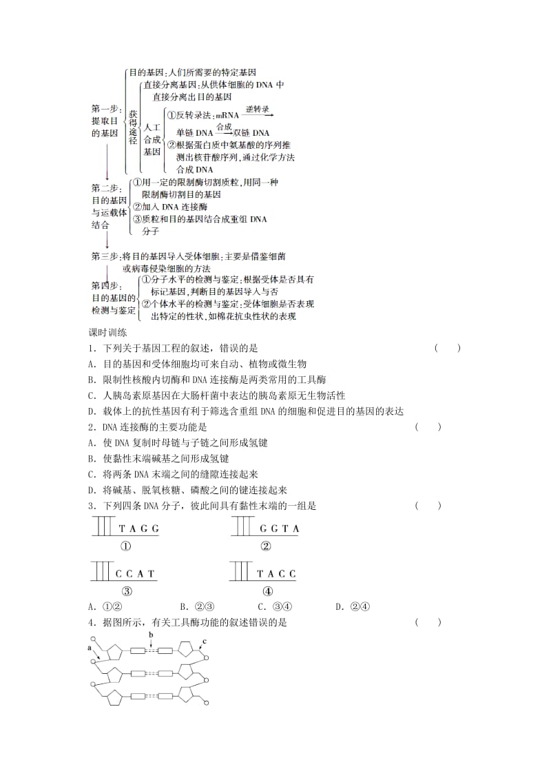 2019-2020年高中生物《6.2 基因工程及其应用》学案（1）新人教版必修2.doc_第2页