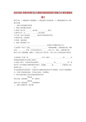 2019-2020年高中生物《6.2 基因工程及其應(yīng)用》學(xué)案（1）新人教版必修2.doc