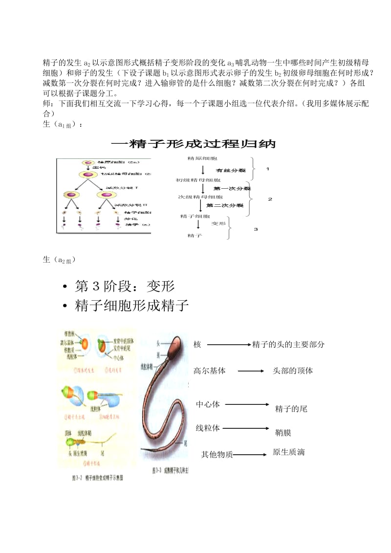 2019-2020年高中生物《体内受精和早期胚胎发育》教案5 新人教版选修3.doc_第3页