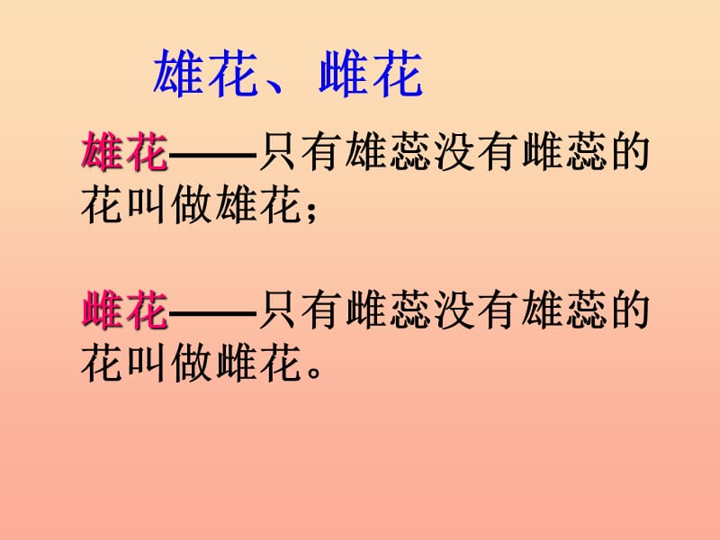 四年级科学下册 2 新的生命 3 花 果实和种子课件5 教科版.ppt_第3页