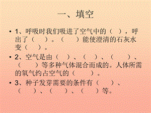 2019春四年級(jí)科學(xué)下冊(cè) 4.1《認(rèn)識(shí)太陽》課件4 大象版.ppt