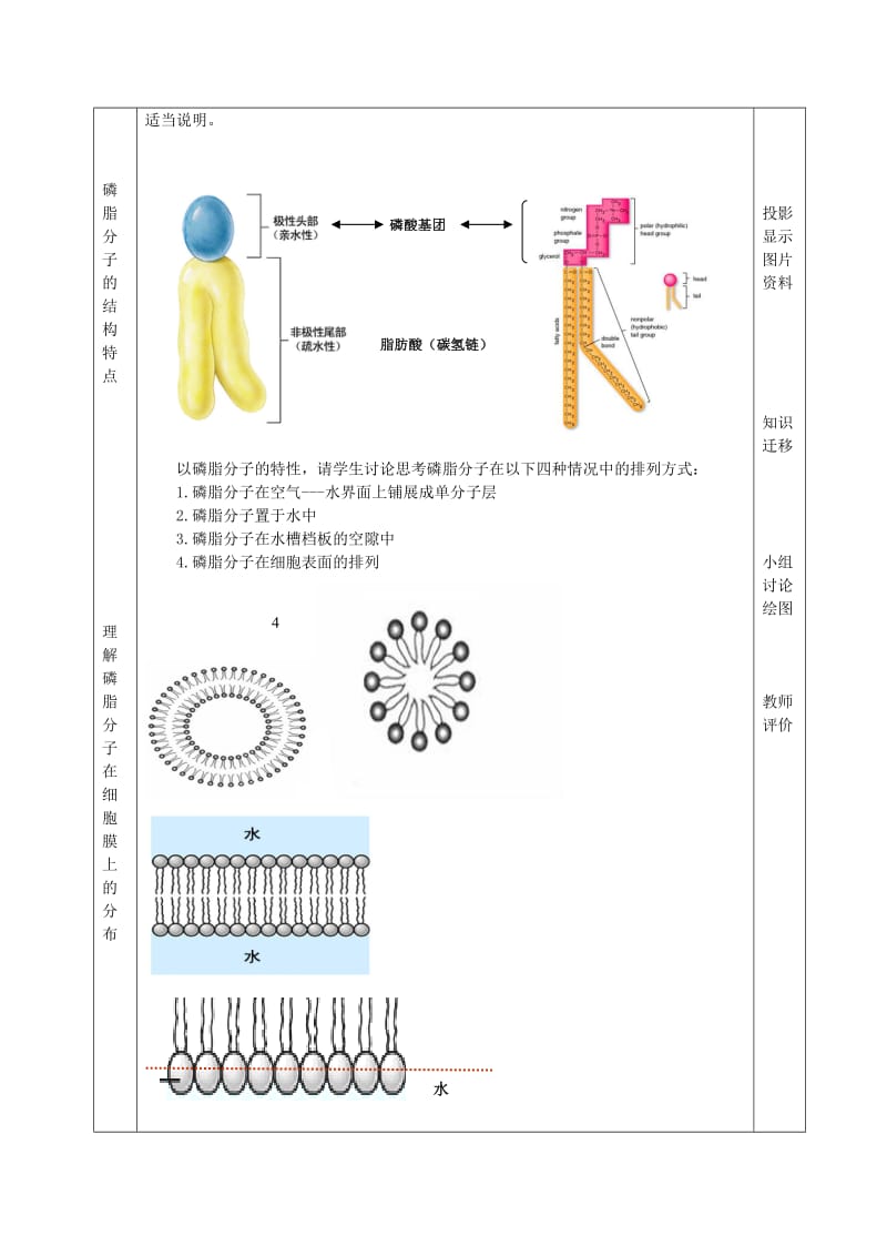 2019-2020年高中生物《细胞膜和细胞壁》教案5 浙教版必修1.doc_第3页