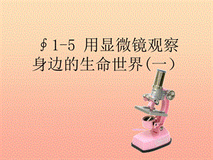 六年級(jí)科學(xué)下冊(cè) 第一單元 微小世界 5 用顯微鏡觀察身邊的生命世界(一)課件2 教科版.ppt