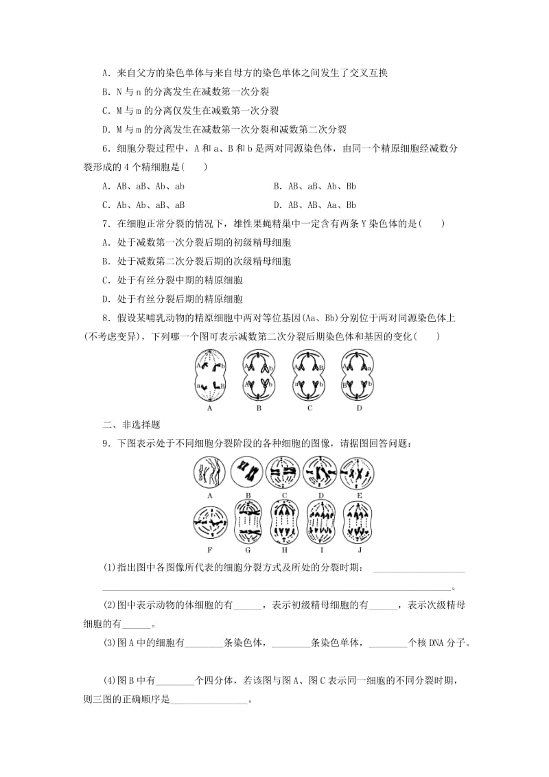 2019-2020年高中生物 课时跟踪检测（三）减数分裂与精子的形成过程 新人教版必修2.doc_第2页