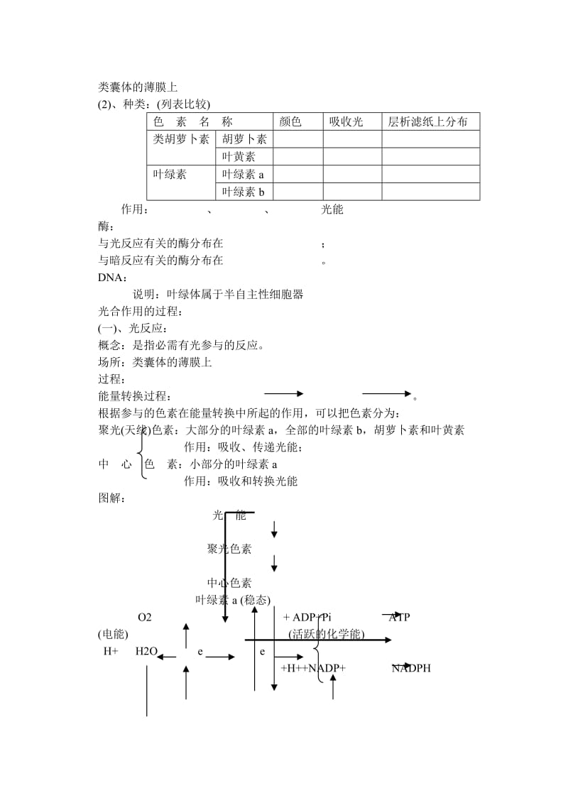 2019-2020年高中生物 第四节能量之源 光合作用过程中能量的转换教案 新人教版必修1.doc_第2页