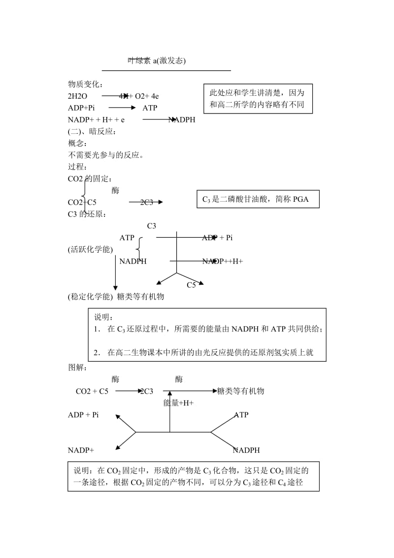 2019-2020年高中生物 第四节能量之源 光合作用过程中能量的转换教案 新人教版必修1.doc_第3页