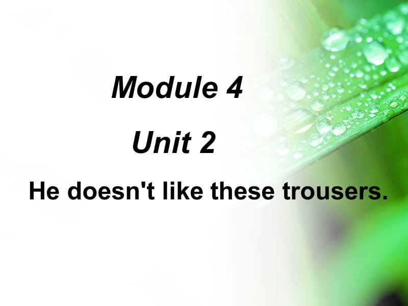 二年级英语上册Module4Unit2Hedoesn’tlikethesetrousers课件4外研版一起.ppt_第1页