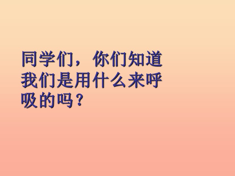 2019春四年级科学下册 2.2《有趣的呼吸器官》课件3 大象版.ppt_第2页