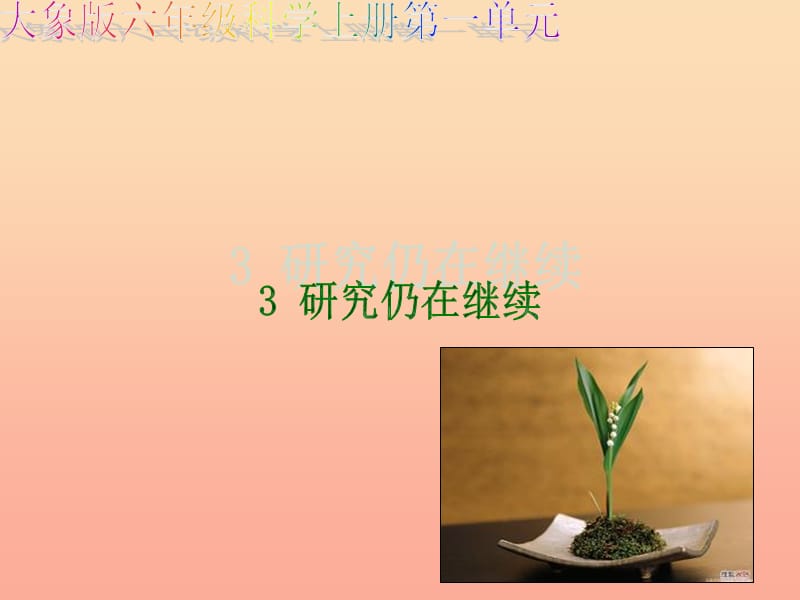 2019秋六年级科学上册 1.3《研究仍在继续》课件2 大象版.ppt_第1页