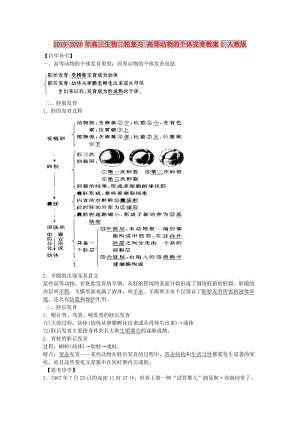 2019-2020年高三生物二輪復習 高等動物的個體發(fā)育教案2 人教版.doc