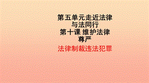 六年級道德與法治下冊 第六單元 走近法律 與法同行 第12課 維護法律尊嚴 第1框《法律制裁違法犯罪》課件1 魯人版五四制.ppt