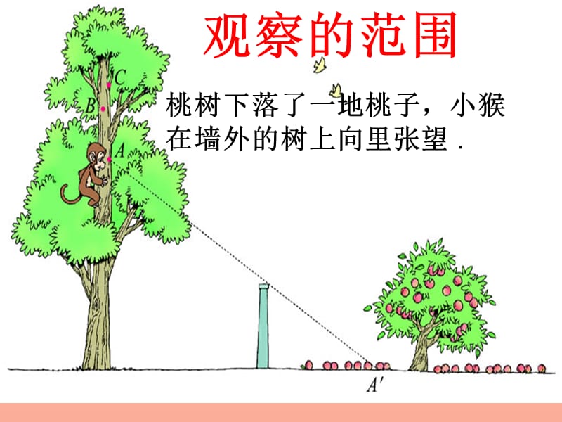 2019秋六年级数学上册 第三单元 观察的范围课件2 北师大版.ppt_第3页