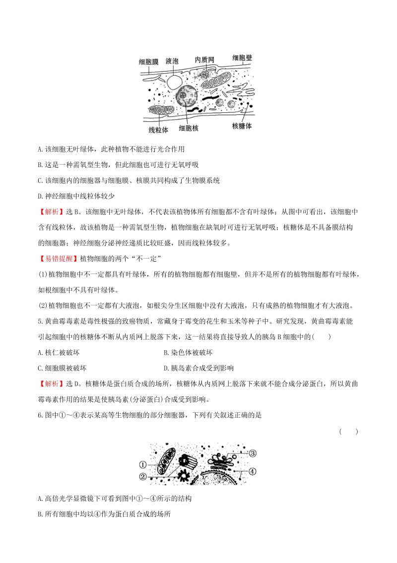 2019-2020年高三生物第一轮复习 第3章 第2节 细胞器-系统内的分工合作练习 新人教版必修1.doc_第2页