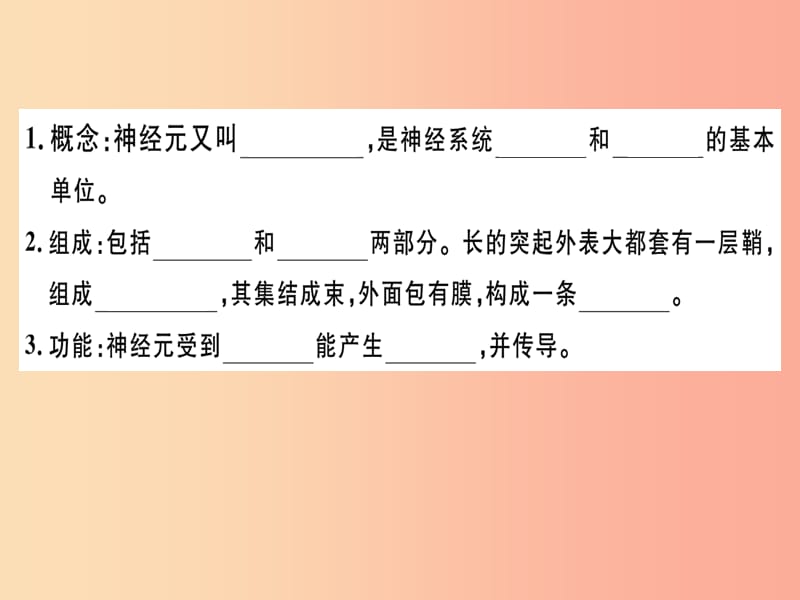 2019七年级生物下册 第四单元 第六章 第二节 神经系统的组成习题课件 新人教版.ppt_第3页