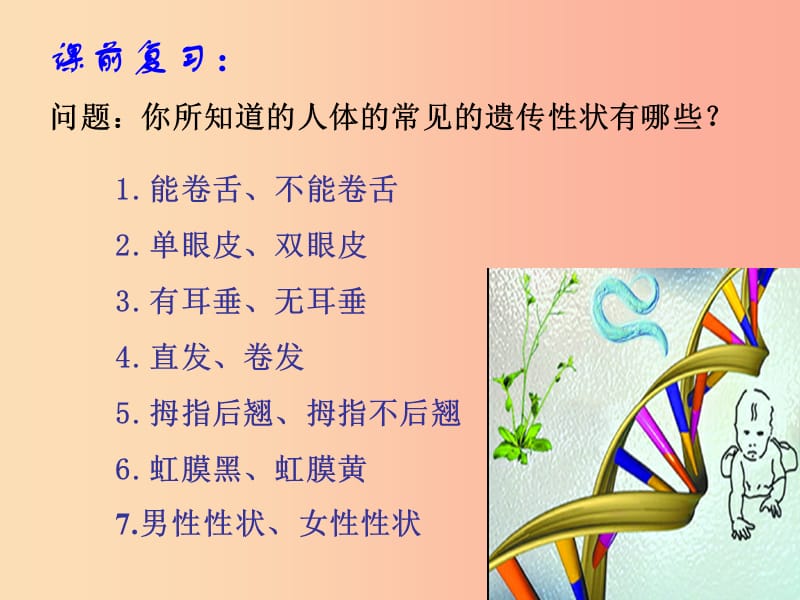 八年级生物上册 20.4《性别和性别决定》课件4 （新版）北师大版.ppt_第2页