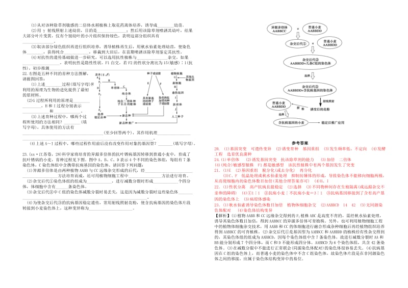 2019-2020年高考生物一轮复习《第六章 从杂交育种到基因工程》单元综合测试 新人教版必修2.doc_第2页