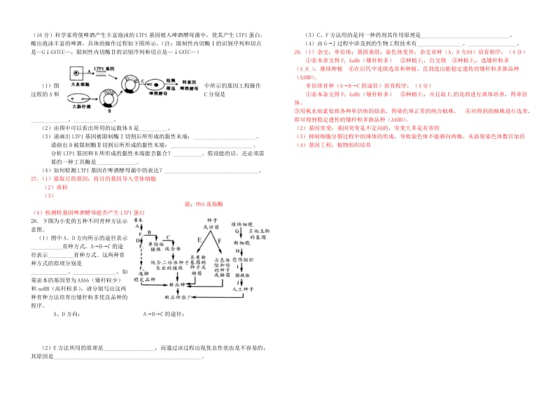 2019-2020年高考生物一轮复习《第六章 从杂交育种到基因工程》单元综合测试 新人教版必修2.doc_第3页