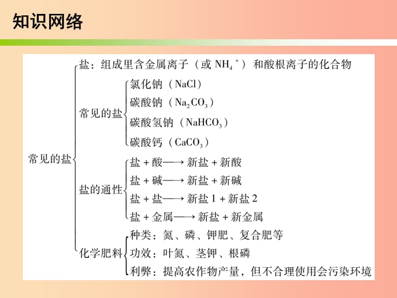 2019中考化学必备复习 第三部分 身边的化学物质 第11节 常见的盐和化肥课件.ppt_第3页