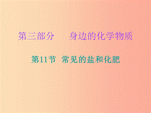 2019中考化學(xué)必備復(fù)習(xí) 第三部分 身邊的化學(xué)物質(zhì) 第11節(jié) 常見的鹽和化肥課件.ppt