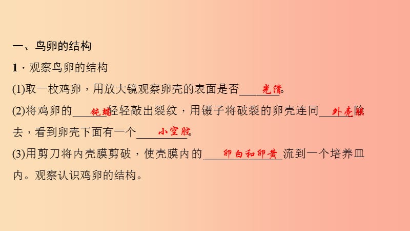 八年级生物下册 第七单元 第一章 第四节 鸟的生殖和发育习题课件 新人教版.ppt_第3页