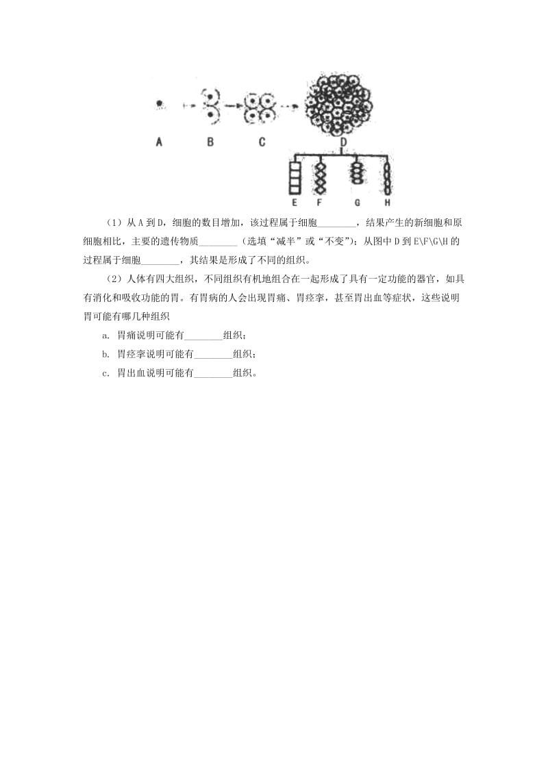 2019-2020年七年级上学期期末检测生物试卷.doc_第3页