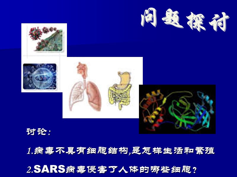 《走近细胞高一生物》PPT课件.ppt_第3页