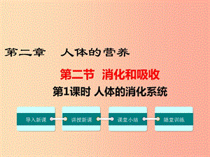 2019年春七年級(jí)生物下冊(cè) 第四單元 第二章 第二節(jié) 消化和吸收（第1課時(shí) 人體的消化系統(tǒng)）課件 新人教版.ppt