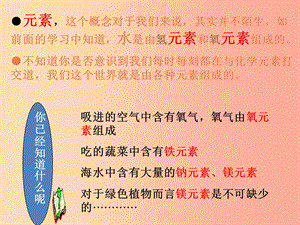 2019年九年級化學上冊 第三單元《物質(zhì)構成的奧秘》3.3 元素課件 新人教版.ppt