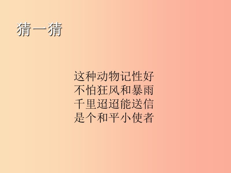 九年级音乐上册 第四单元《鸽子》课件 湘艺版 .ppt_第2页