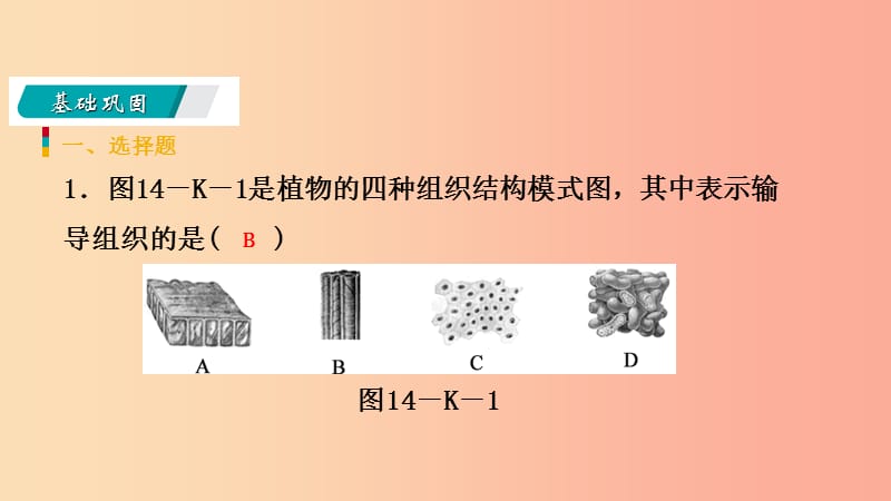 2019年秋七年级科学上册 第2章 观察生物 第3节 生物体的结构层次 2.3.2 练习课件（新版）浙教版.ppt_第3页