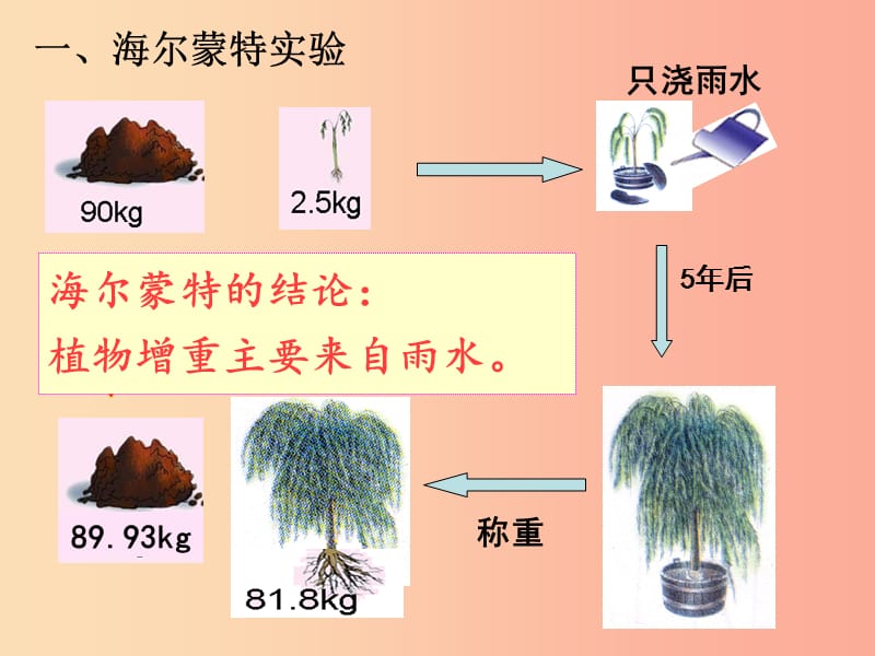 吉林省长春市七年级生物上册 第三单元 第五章 第一节 光合作用吸收二氧化碳释放氧气课件3 新人教版.ppt_第3页