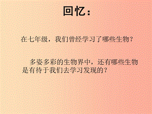 八年級生物上冊 5.1.1《腔腸動物和扁形動物》課件2 新人教版.ppt