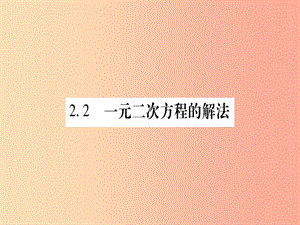 九年級(jí)數(shù)學(xué)上冊(cè) 第2章 一元二次方程 2.2 一元二次方程的解法 2.2.1 配方法 第1課時(shí) 直接開(kāi)平方法作業(yè).ppt