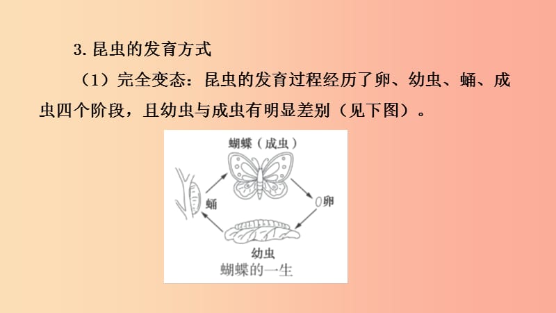 山东省2019年中考生物 主题复习十四 动物和人类的生殖与发育课件 济南版.ppt_第3页