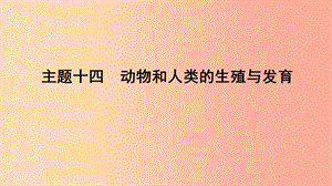 山東省2019年中考生物 主題復(fù)習(xí)十四 動物和人類的生殖與發(fā)育課件 濟(jì)南版.ppt