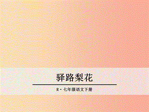 2019年春七年級(jí)語(yǔ)文下冊(cè) 第四單元 14《驛路梨花》課件 新人教版.ppt