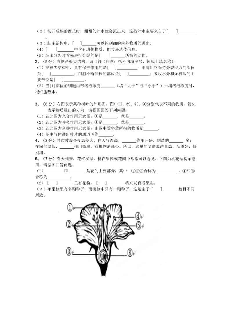 2019-2020年七年级生物上学期期末考试试题 新人教版(V).doc_第3页