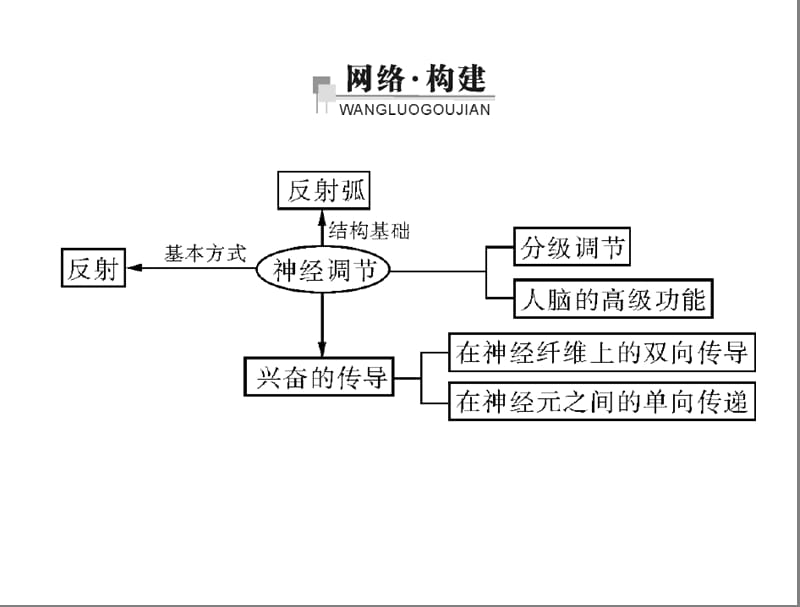 人教版教学课件第2章第1节通过神经系统的调节[配套.ppt_第2页